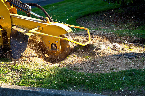 Lawn Irrigation Installation and Maintenance in Pocasset, MA